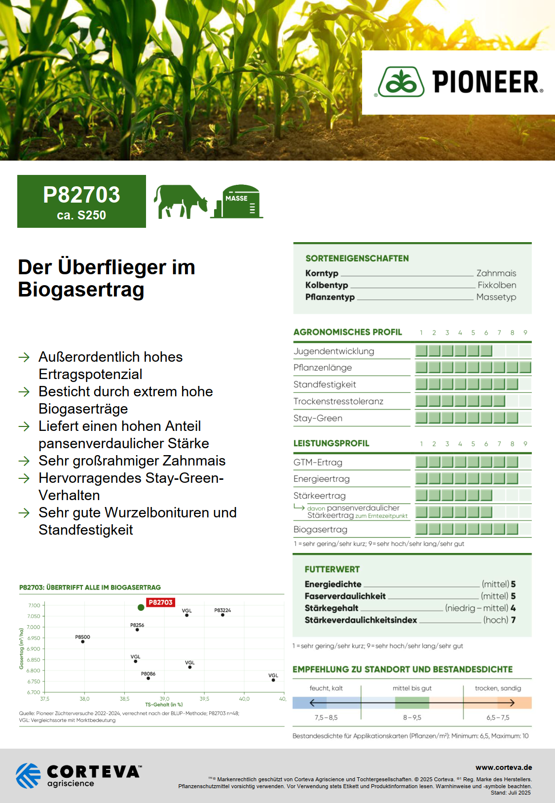 P82703